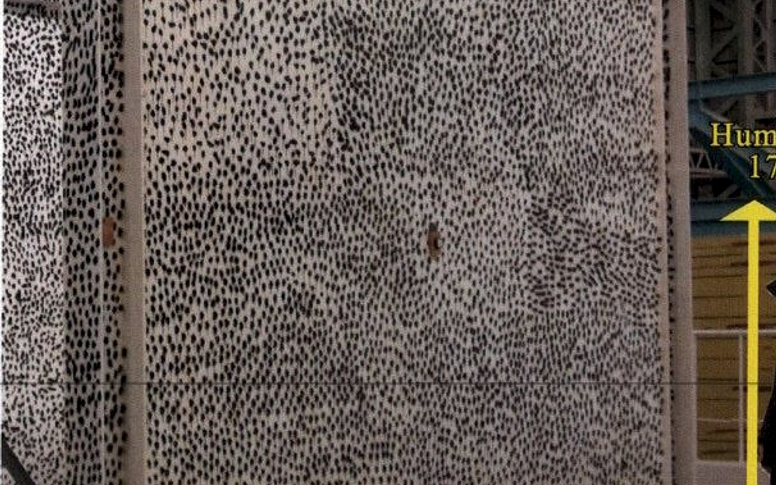 試験体：Power Coating側